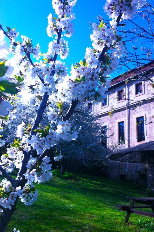 Arte Y Natura Valdivielso *